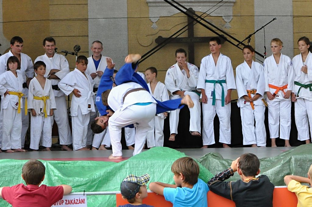 ukazky 2012__25.JPG
